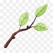 可爱小清新装饰海报装饰树枝-空若网 可爱小清新装饰海报装饰树枝-空若网