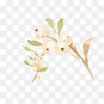 水彩手绘-空若网 水彩手绘-空若网