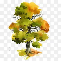 ˮ����ľ-������