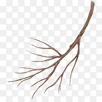 手绘的树枝-空若网 手绘的树枝-空若网