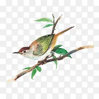 СÄñ-¿ÕÈôÍø СÄñ-¿ÕÈôÍø