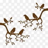 小鸟树枝-空若网 小鸟树枝-空若网