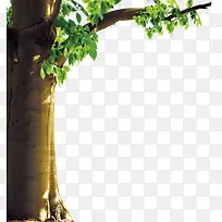 ��֦-������