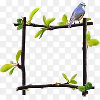 树枝边框小鸟-空若网 树枝边框小鸟-空若网