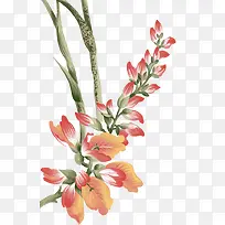 花-空若网 花-空若网