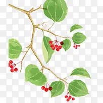 �ֻ���֦-������