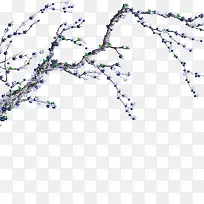 花枝-空若网 花枝-空若网