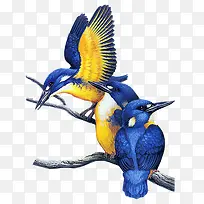 Äñ-¿ÕÈôÍø Äñ-¿ÕÈôÍø