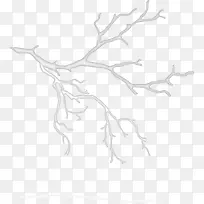 ʸ���ֻ���֦-������