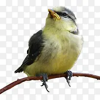 ��-������