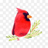 水彩小鸟-空若网 水彩小鸟-空若网