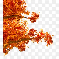 »ÆÉ«¼òÔ¼Ê÷֦װÊÎͼ°¸-¿ÕÈôÍø »ÆÉ«¼òÔ¼Ê÷֦װÊÎͼ°¸-¿ÕÈôÍø