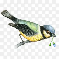 ÊÖ»æÐ¡Äñ-¿ÕÈôÍø ÊÖ»æÐ¡Äñ-¿ÕÈôÍø