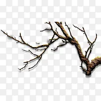 ��֦����-������