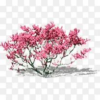 树-空若网 树-空若网