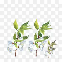 树枝-空若网 树枝-空若网