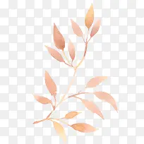 ��֦Ҷ���ֻ�-������