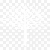 白色树枝创意插画-空若网 白色树枝创意插画-空若网