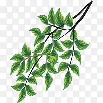 矢量手绘树枝-空若网 矢量手绘树枝-空若网