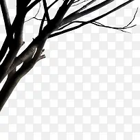 ��ɫ��֦-������