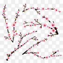 桃花-空若网 桃花-空若网