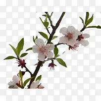 �����һ���-������