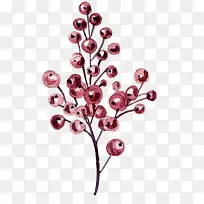 手绘树枝植物装饰-空若网 手绘树枝植物装饰-空若网