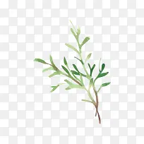 手绘水彩树枝免抠素材-空若网 手绘水彩树枝免抠素材-空若网