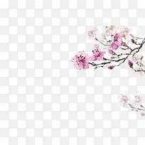 手绘花-空若网 手绘花-空若网