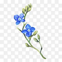 蓝色简约树枝花朵-空若网 蓝色简约树枝花朵-空若网