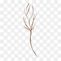 手绘树枝-空若网 手绘树枝-空若网