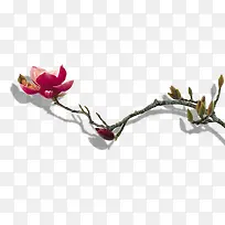 ����-������