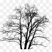 树枝,黑色树枝,-空若网 树枝,黑色树枝,-空若网