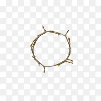 树枝-空若网 树枝-空若网