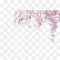 粉色花枝-空若网 粉色花枝-空若网