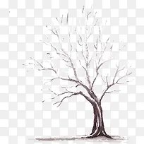 手绘树枝-空若网 手绘树枝-空若网