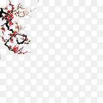 树枝的花-空若网 树枝的花-空若网