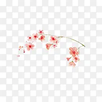 粉色花朵-空若网 粉色花朵-空若网