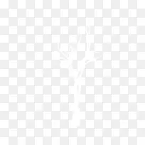 ����С����С��֦��͸����֦-������