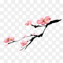 花枝-空若网 花枝-空若网