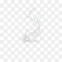 麋鹿-空若网 麋鹿-空若网