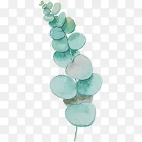 树叶-空若网 树叶-空若网