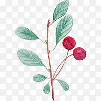 水彩果实-空若网 水彩果实-空若网