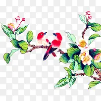 手绘鸟-空若网 手绘鸟-空若网