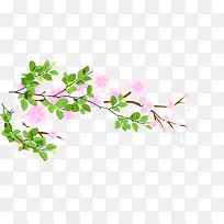 树枝花朵-空若网 树枝花朵-空若网