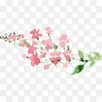 花朵-空若网 花朵-空若网