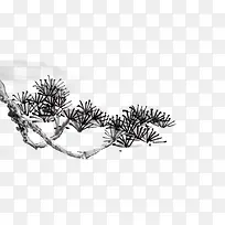 树木-空若网 树木-空若网