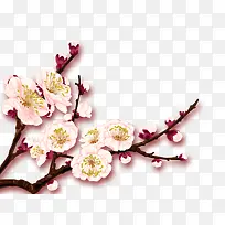 桃花-空若网 桃花-空若网