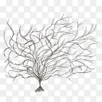 �ɿݵ���֦-������