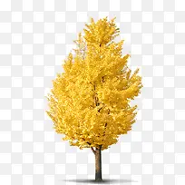 树-空若网 树-空若网